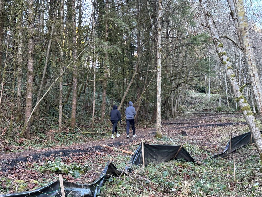 Members of the public are invited to help plant native species on Feb. 22 and March 1 along the new accessible trail that is being built at the Seminary Hill Natural Area in Centralia.