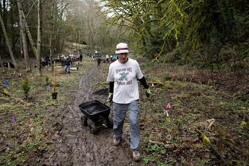 Clyde Berry pulls a wheelbarrow through the mud at Seminary Hill Natural Area in Centralia on Saturday, Feb. 23.