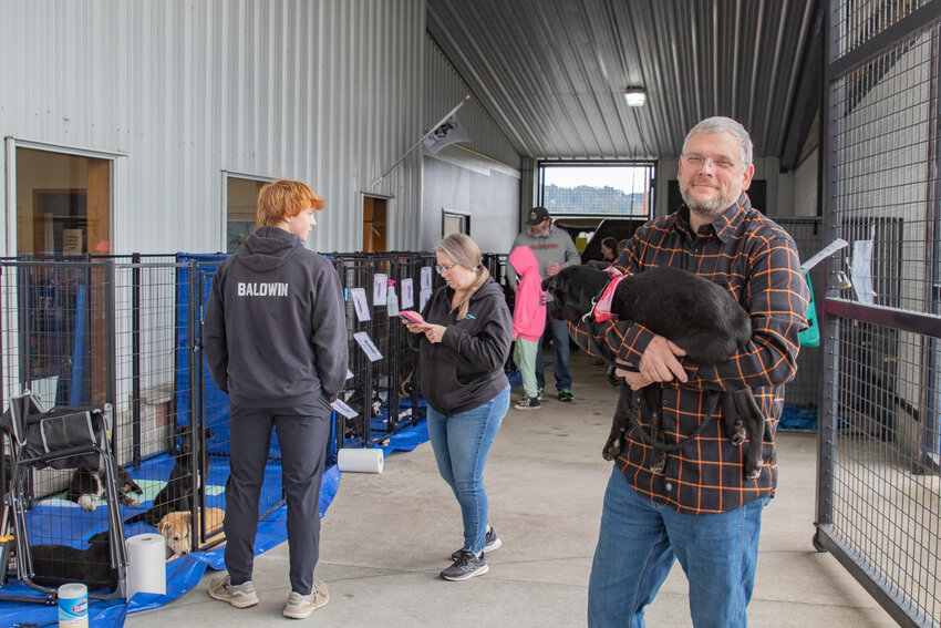 Veterans Memorial Museum Executive Director Chip Duncan holds a puppy during the second Operation Adoption event with Red Rose Animal Rescue on Saturday, March 8, at the museum in Chehalis.