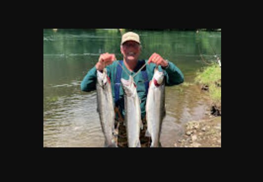 Martin &quot;Jim&quot; Whitson