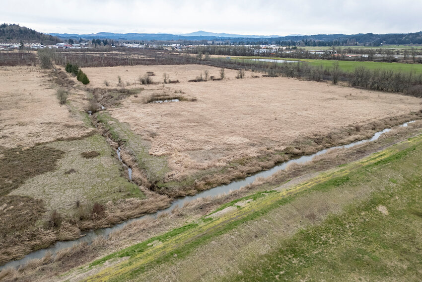 Coal Creek runs through an open field connecting to Salzer Creek from above in Chehalis on Tuesday, March 11. Chehalis resident Bob Russell received funding for a project to build a public access boardwalk from the Office of Chehalis Basin.