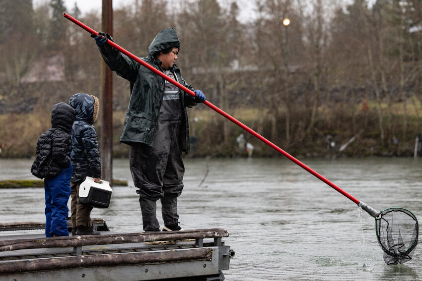 A smelt dipper lifts an empty net on a designated smelt dipping day from the Al Helenberg Memorial Boat Ramp on the Cowlitz River on Wednesday, March 12.