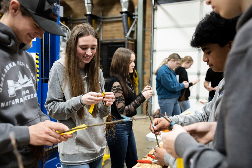 Sophomore Jordyn Hill labels a Chehalis apple tree she grafted during the Natural Resource class at Onalaska High School on Wednesday, March 26.