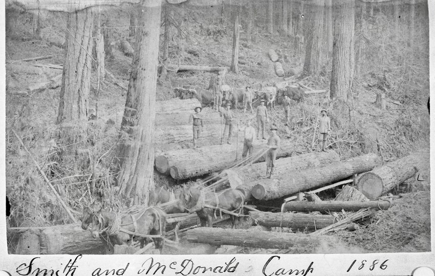 The Smith and McDonald Logging Camp is pictured in 1886 is pictured in this photo from The Chronicle's archives. The exact location is unknown, but it is believed to have been in the Lewis County area.