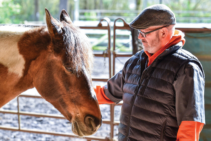 Veteran Robert Molitor pets Indy, a pinto mare, gently below the neck at the Windhaven Veterans Program. Known for her past trauma and preference for distance, Indy rarely allows people to touch her face.