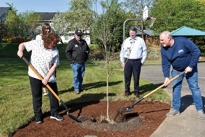 La Center Public Works Director Tracy Coleman, left, and Mayor Tom Strobehn shovel dirt while planting a tree near the basketball court at Heritage Park on Wednesday, April 23, in recognition of Arbor Day.