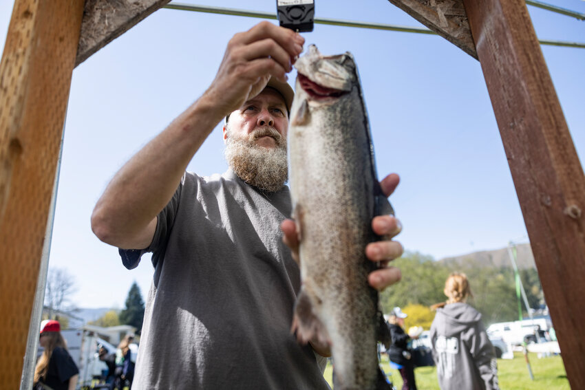 Shawn Seegar weighs a fish during a fishing derby at Mineral Lake on Saturday, April 26.