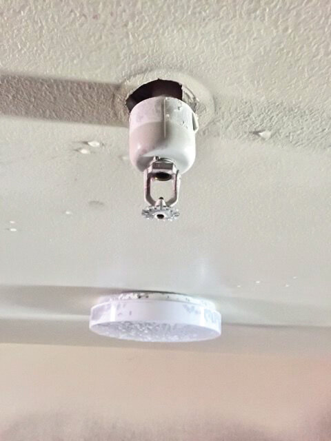 A ceiling-mounted residential fire sprinkler is seen without its thermal fuse, which activated during a small fire and successfully stopped the flames from spreading beyond a single room.