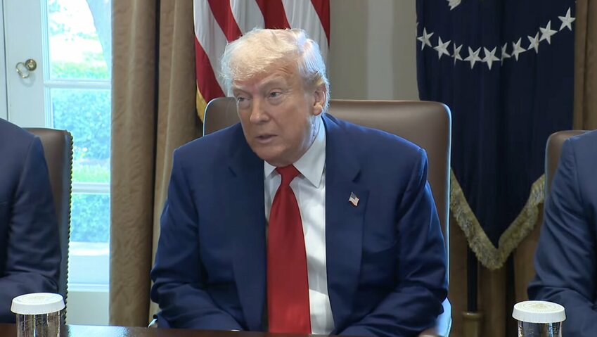 President Donald Trump speaks at a cabinet meeting on April 30.