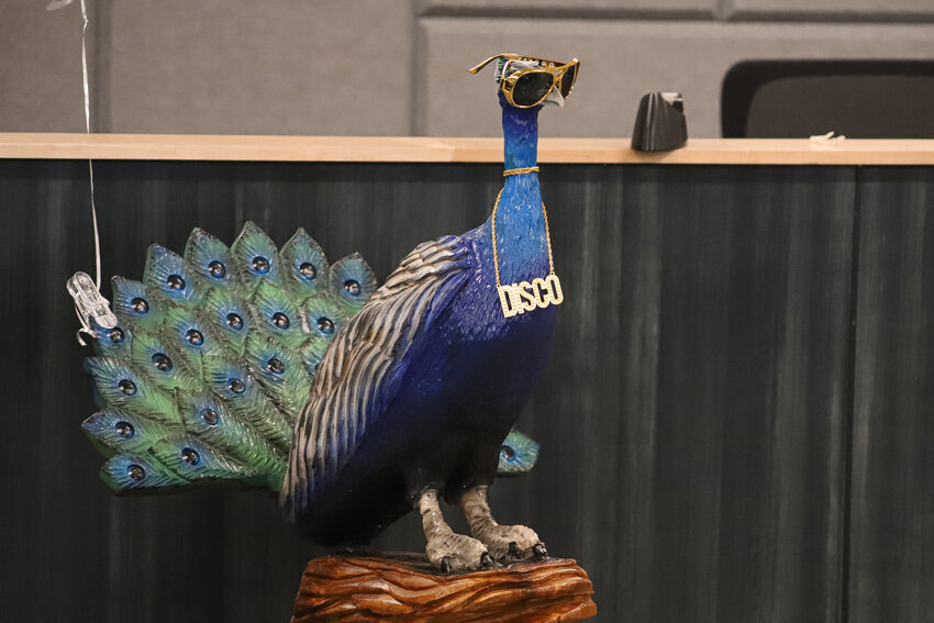 A 4-and-a-half-foot tall statue of Disco Dave the Peacock is unveiled during a Thurston County Board of County Commissioners meeting on Tuesday, June 3, to bring awareness to the upcoming Thurston County Fair from July 31 through Aug. 3.