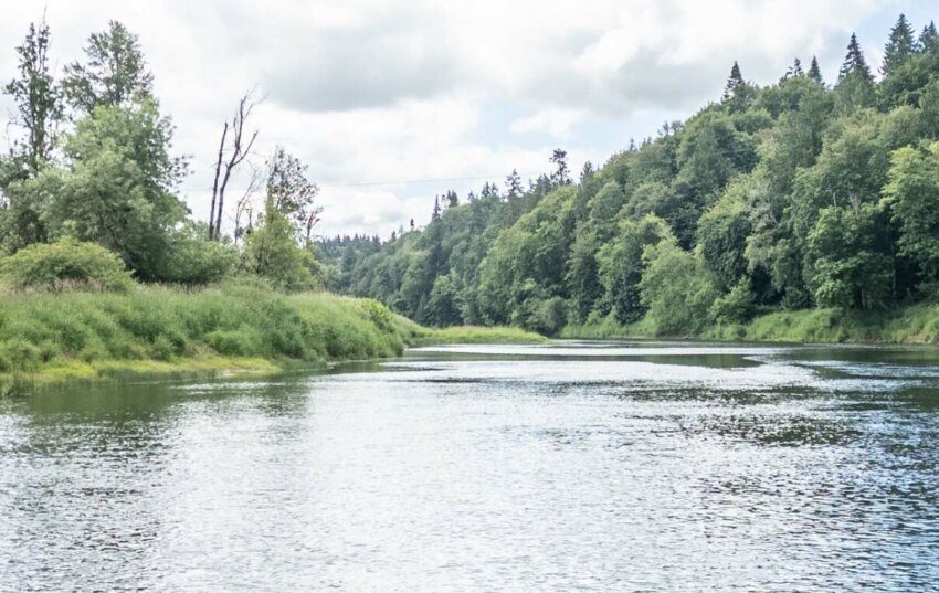 The Chehalis River near Galvin.