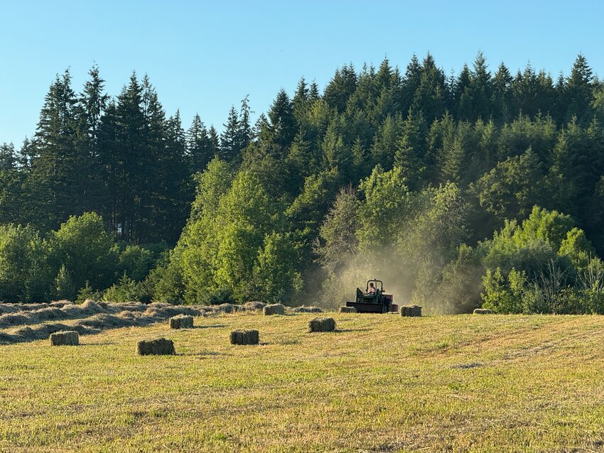 Jake Remund bales hay near Curtis on Sunday, June 8.