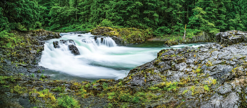 Lucia Falls, the last big drop of the East Fork Lewis River, drops 10 feet at a width of 50 feet and provides a visual for river height as the flow varies throughout the year.