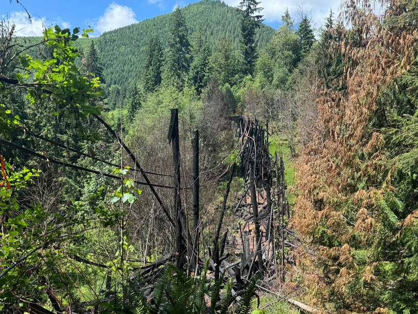 Back at the end of April, the Mount Rainier Scenic Railroad’s wooden trestle bridge located between Mineral and Morton burned down in a fire that was believed to have been deliberately started.