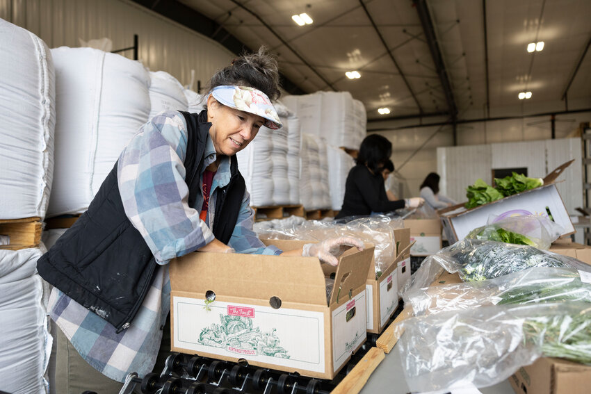 Sarah Williams, a professor at Evergreen State College, packages a harvest box at the Southwest Washington Food Hub warehouse in Chehalis on Wednesday, July 9.