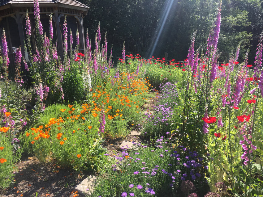 Bee Inspired Garden