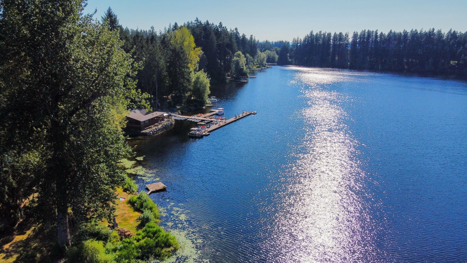 Toxic algae bloom detected at Offut Lake near Tenino | The Daily Chronicle