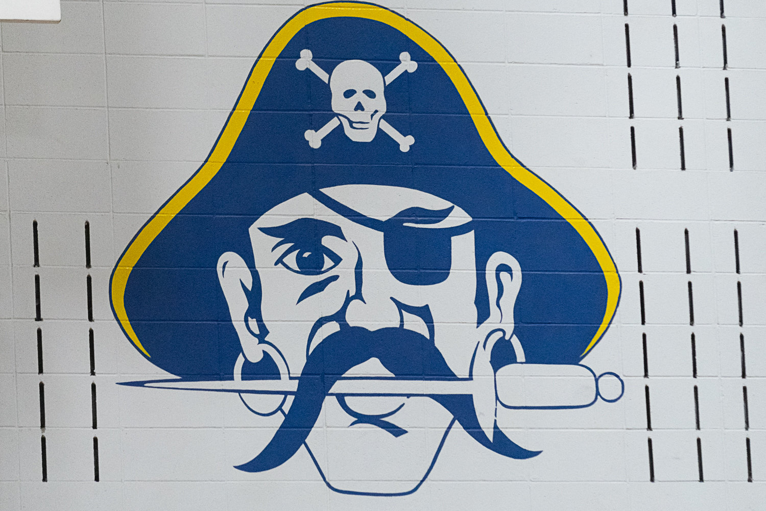 Pirates sweep Riverhawks, stay perfect | The Daily Chronicle