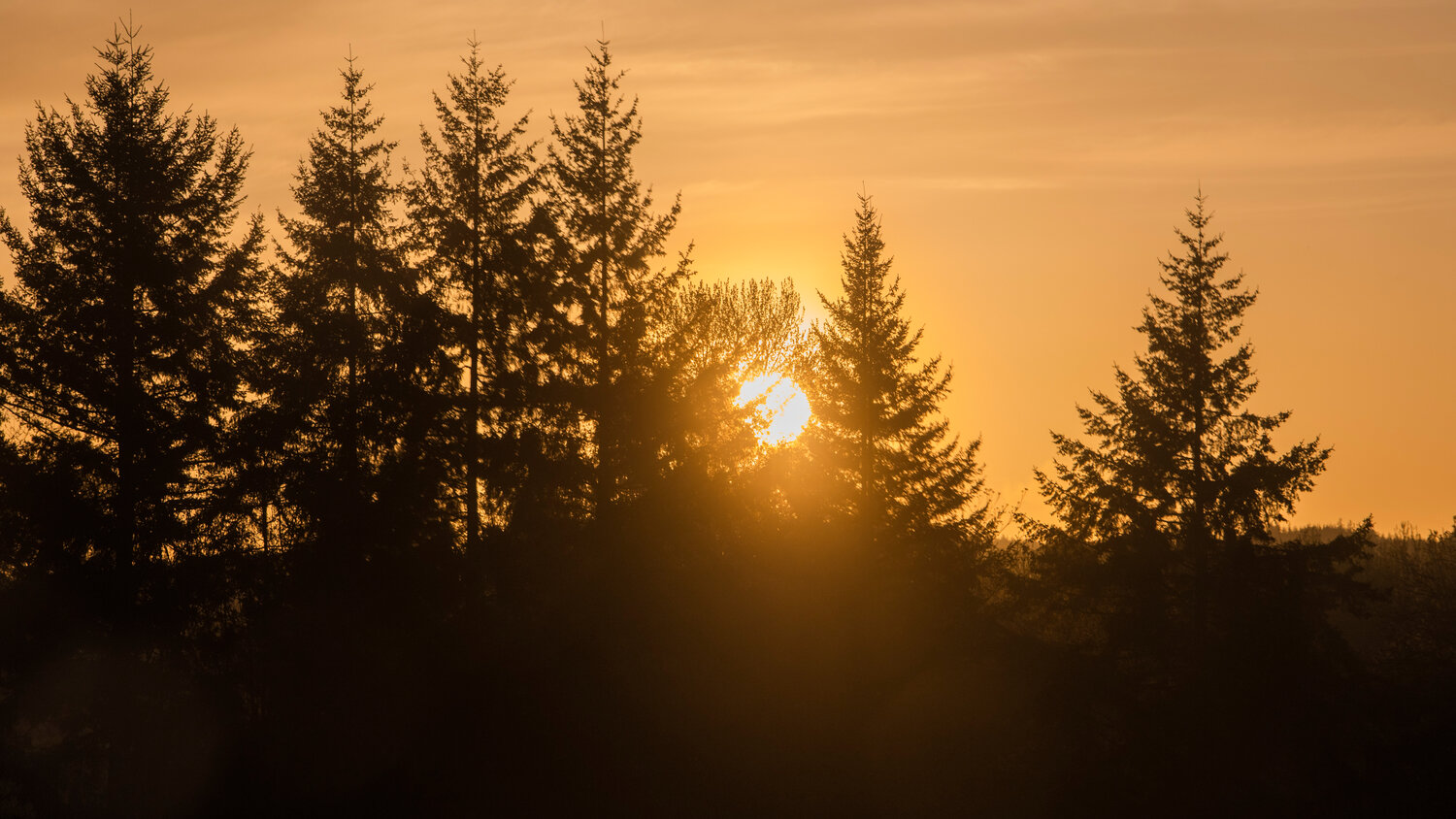 https://cdn3.creativecirclemedia.com/lafromboise/original/20230501-144813-news.230426.chehalis.sunset.jw.JPG