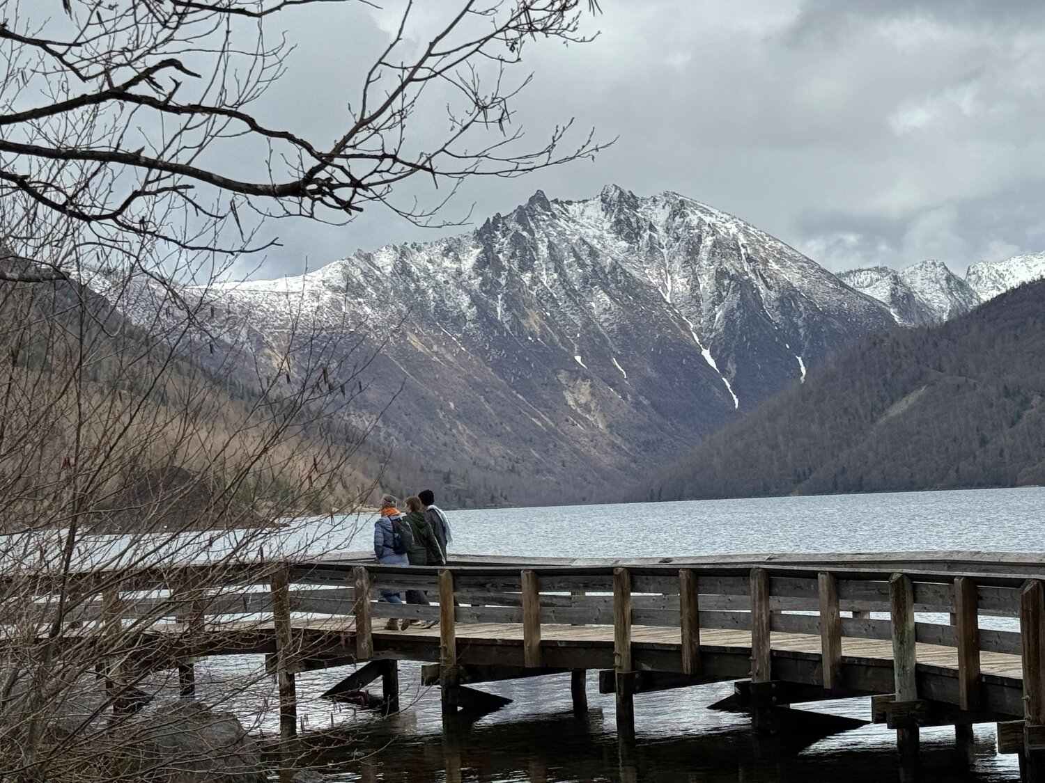 Brian Mittge: Spring beauty among the volcanic rubble | The Daily Chronicle