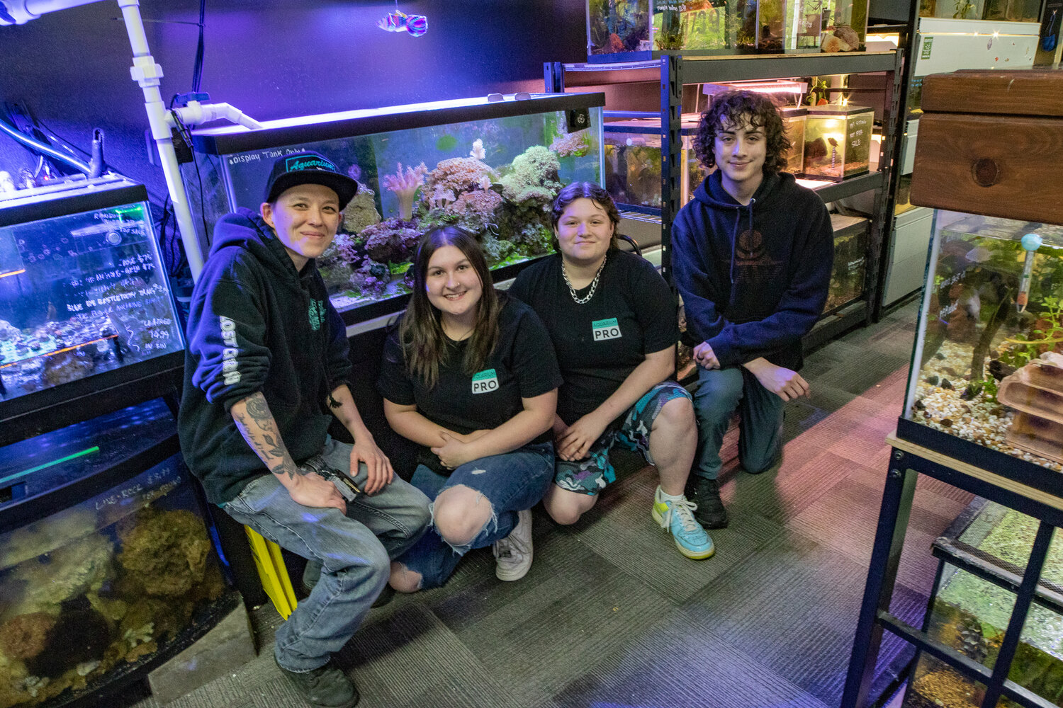 Cats in a fish store? Aquarium Pro partners with Red Rose Animal Rescue to foster cats as business prepares to expand