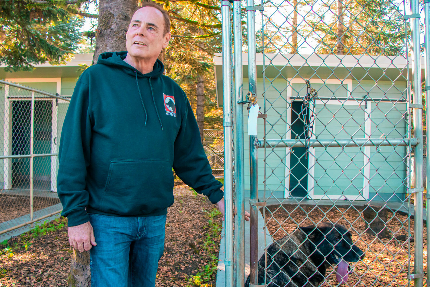 Owner of Rochester K9 training business arrested after Lewis County man is shot and killed