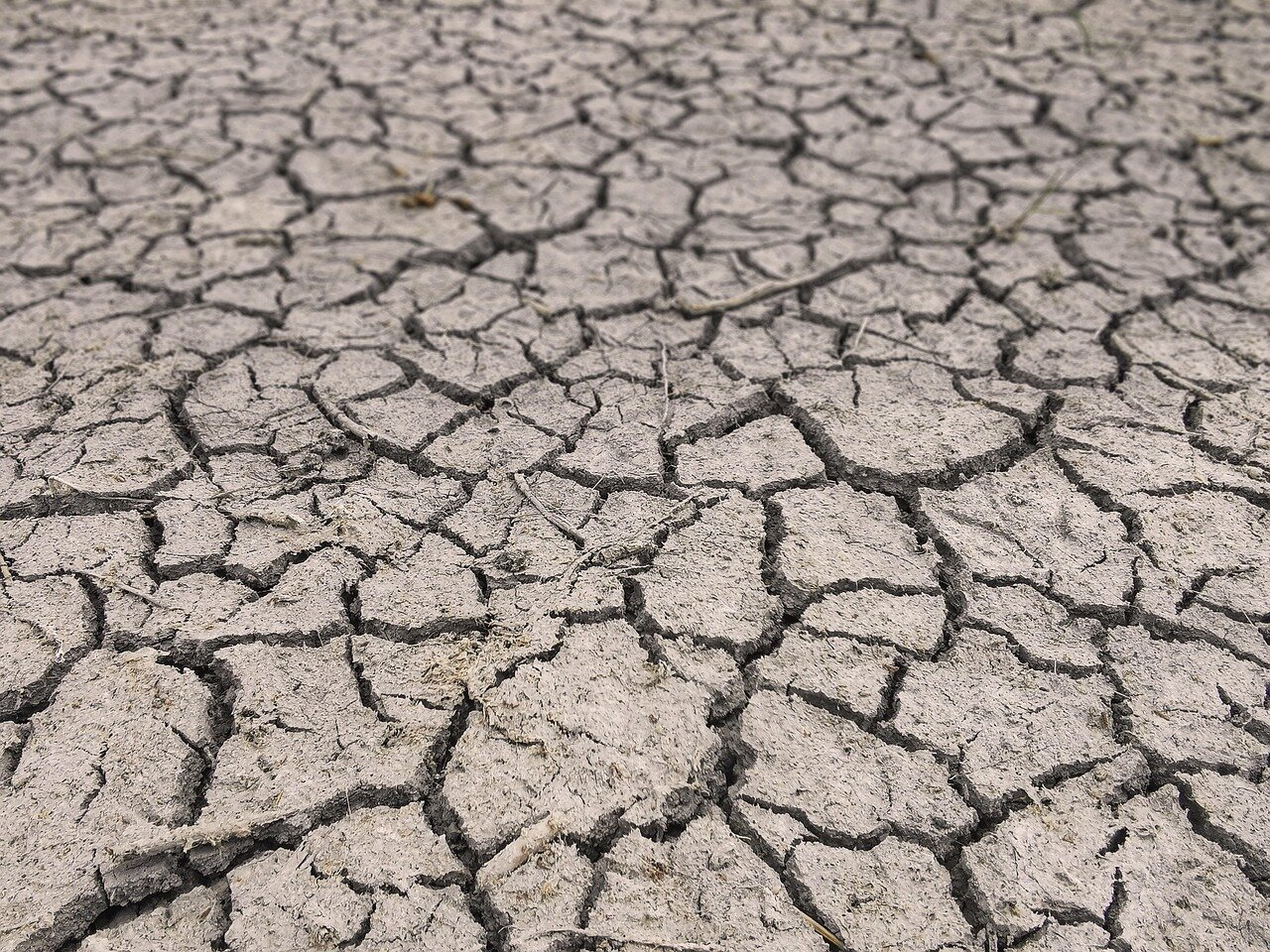 Washington state drought deepens and the summer forecast offers no respite
