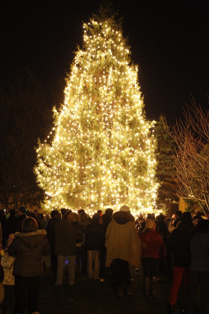‘Oh chilly night’ as Rockville Centre lights its Christmas tree