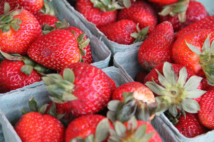 Long Island Strawberries Ripe For The Picking Herald Community   1371237932 B2d3 