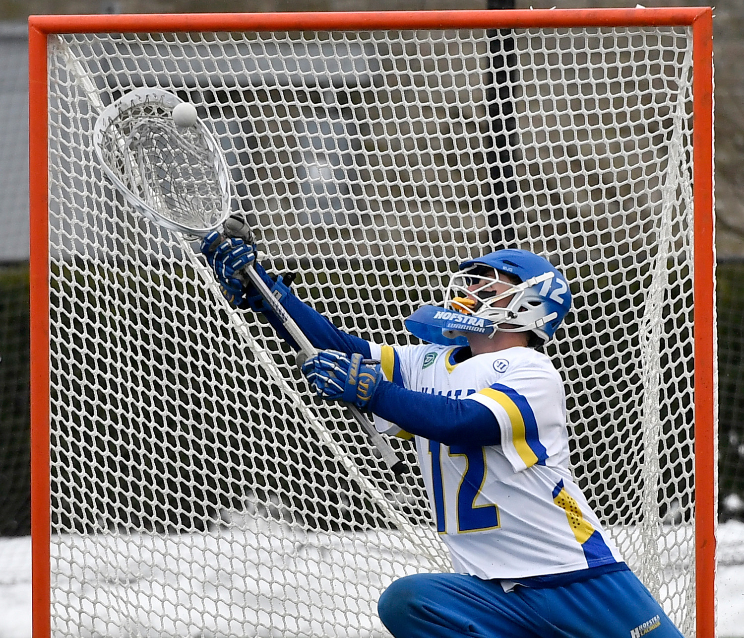 Hofstra men's lacrosse primed for deep run Herald Community