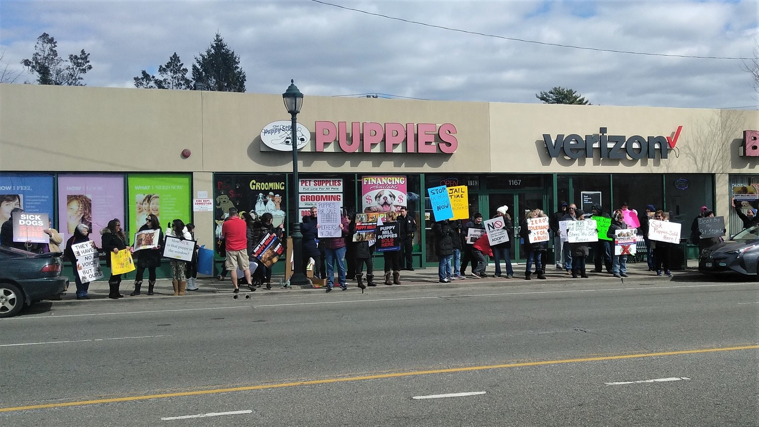 Protesters gather at Merrick Puppy Store where Lab allegedly neglected