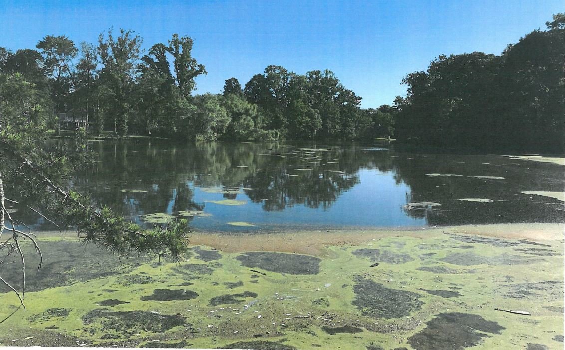 The treatments approved by the Department of Environmental Conservation have already yielded some results in Willow Pond, eliminating duckweed and algae after treatment began in August.