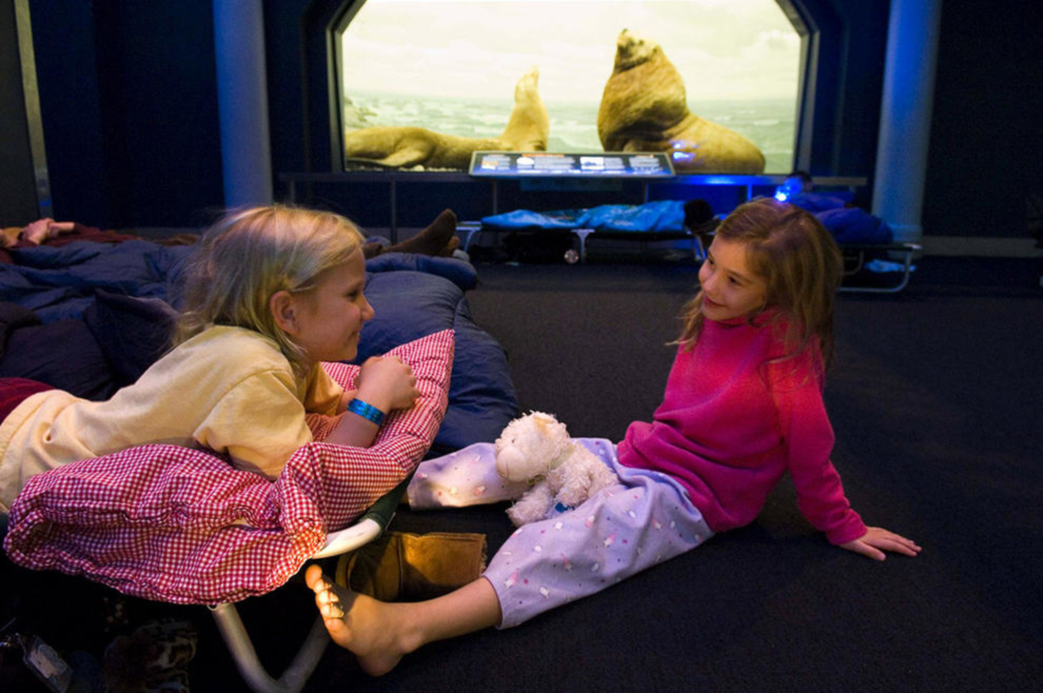 Natural History Museum London Tickets Sleepover