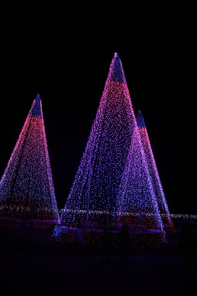 Trees were glowing bright at the holiday light display.