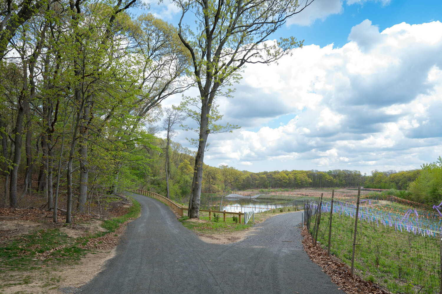 This West Hempstead park is now state-of-the-art - Vimarsana News