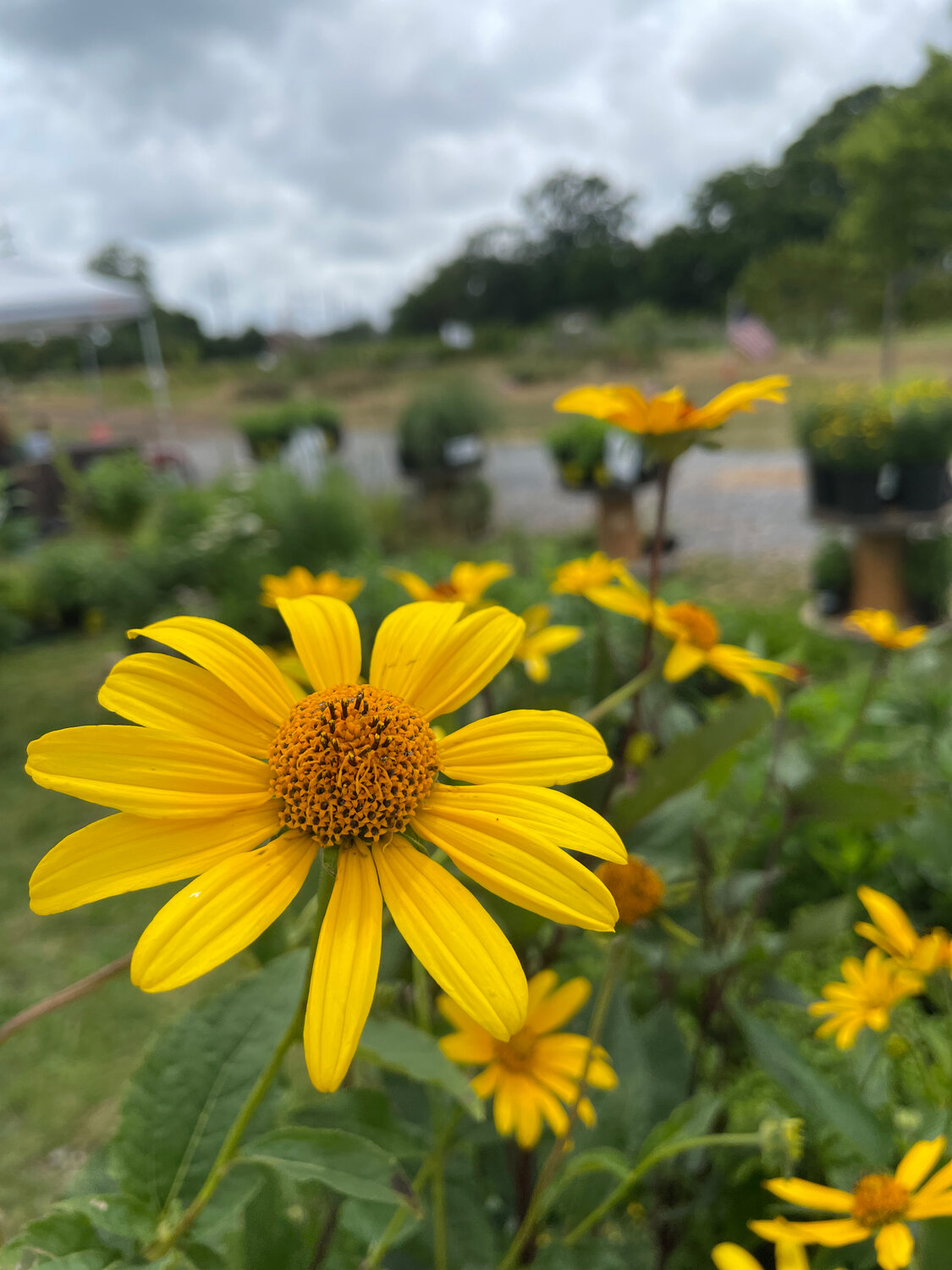 Crossroads Farm is the place to be! - Vimarsana News