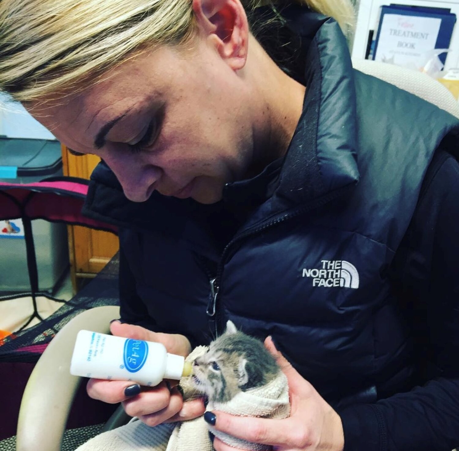 North Shore nonprofits manage feral cat population - Vimarsana News