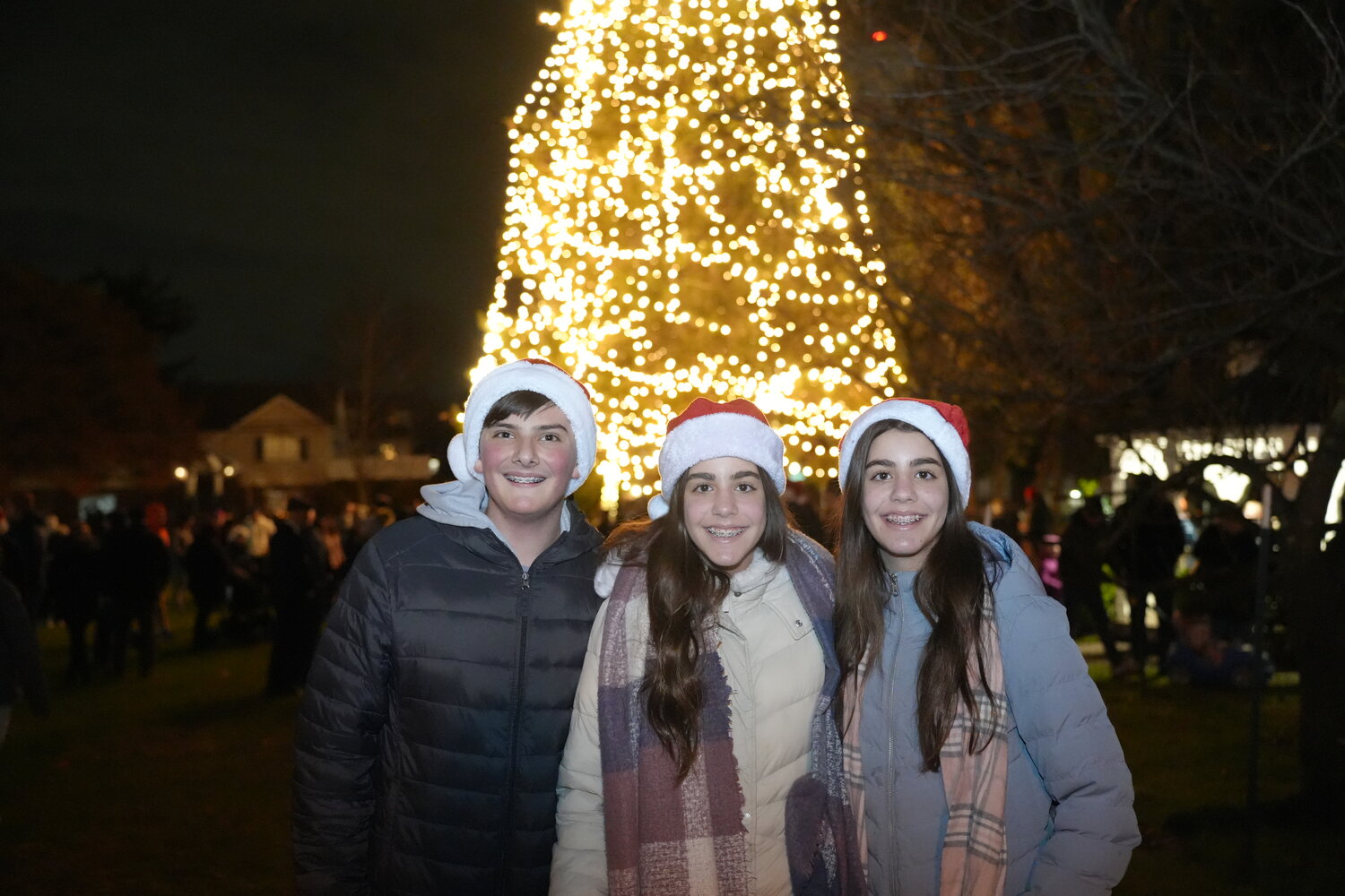 Rockville Centre rings in the Christmas holiday with its annual tree