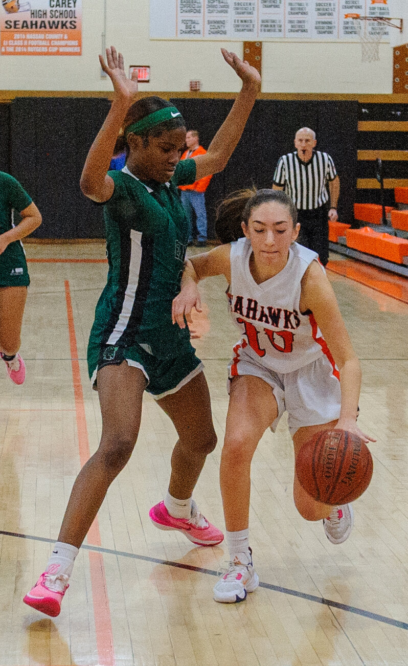 Elmont stays hot, tops Carey - Vimarsana News