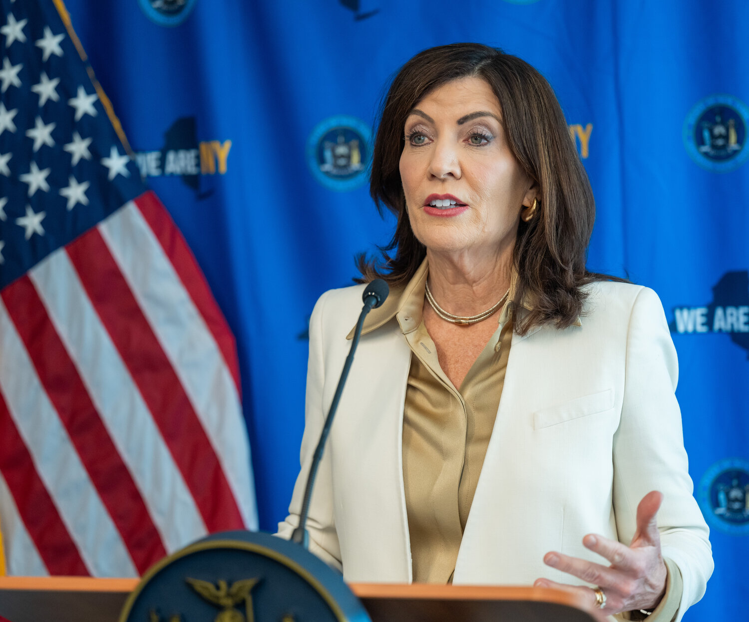Hochul shifts elections to 2026 - Vimarsana News