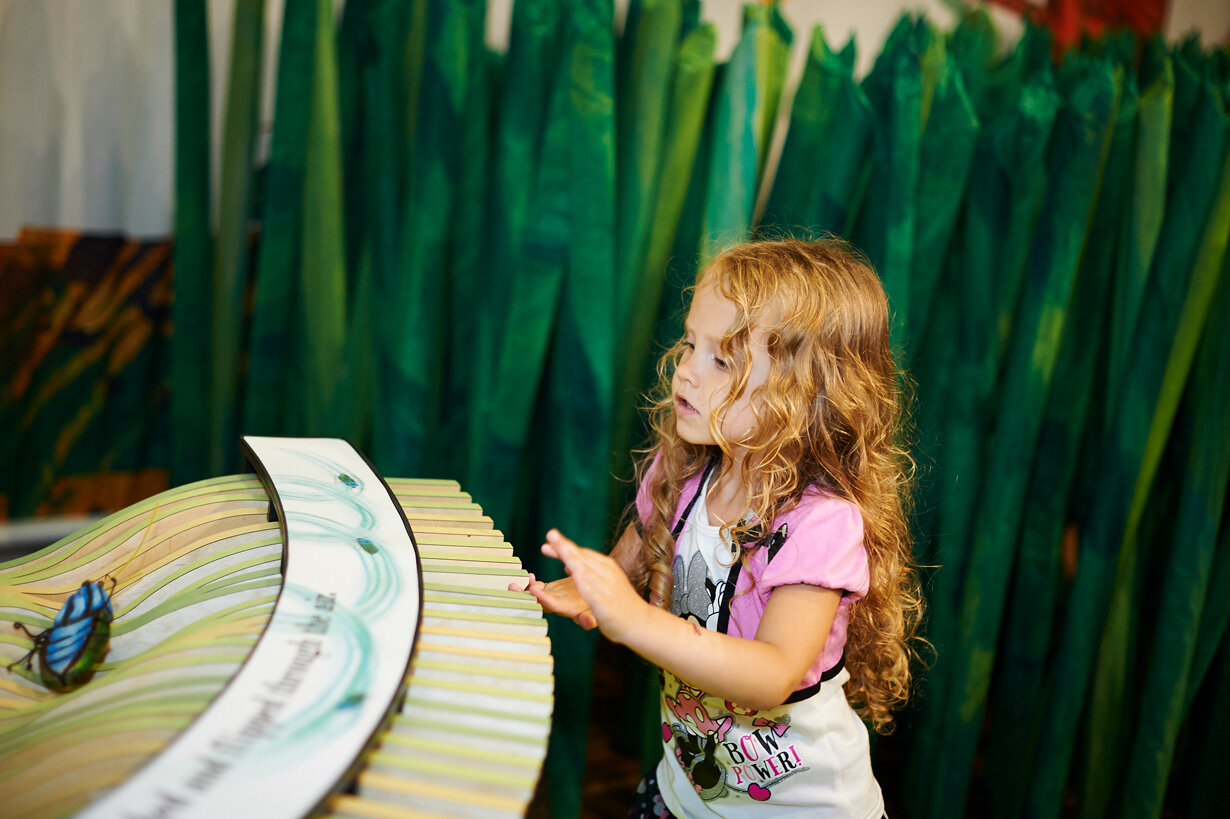 Become a bookish bug at Long Island Children's Museum - Vimarsana News