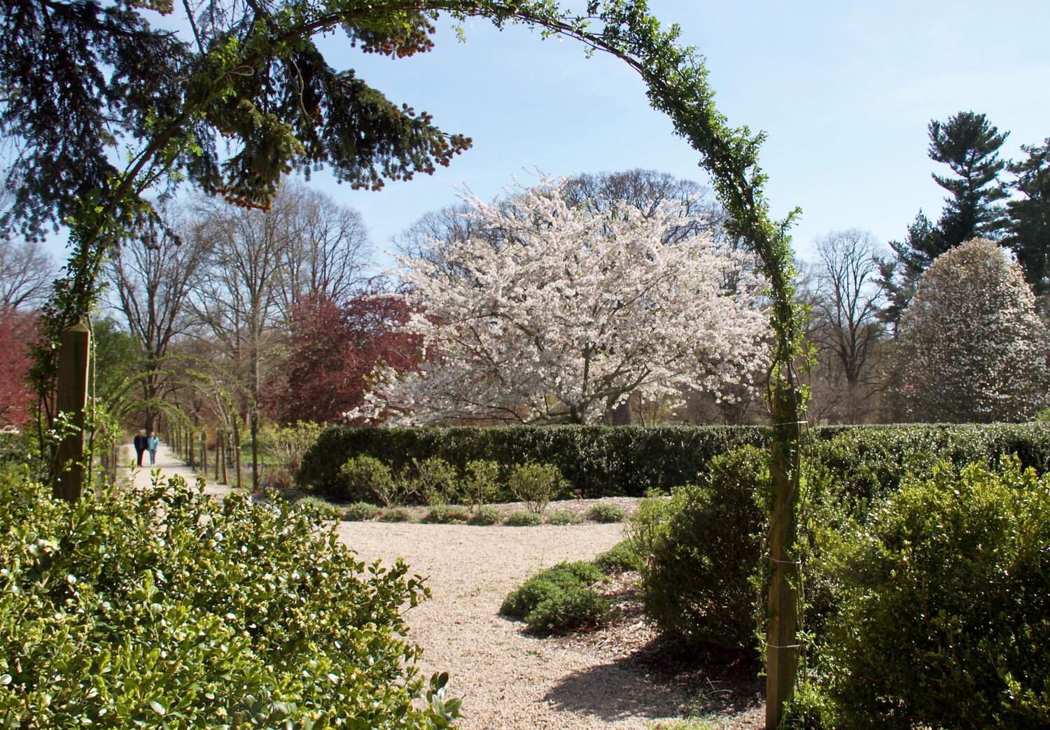 Celebrating neurodiversity at Planting Fields Arboretum - Vimarsana News