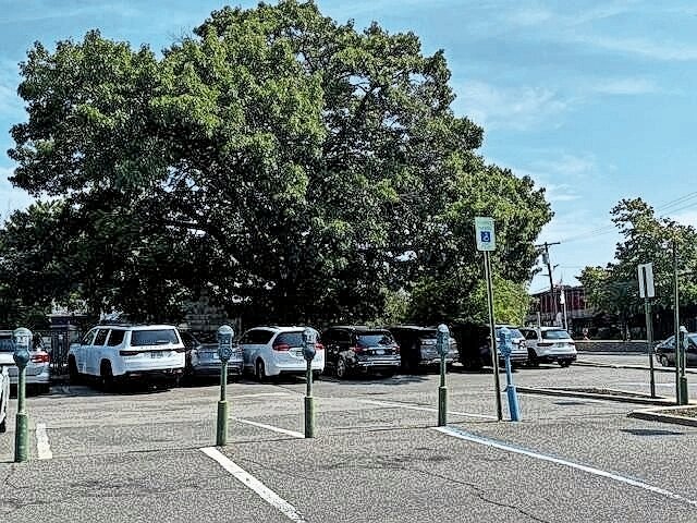 Cedarhurst cuts down 100-year-old oak tree for new parking lot | Herald Community Newspapers