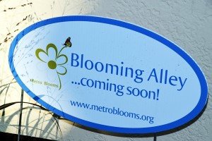 Blooming_0212