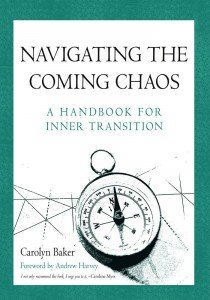 Navigating the Coming Chaos