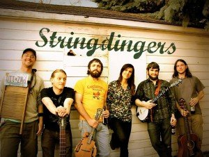 stringdingers