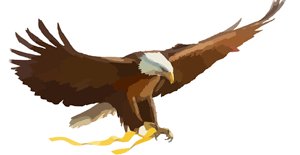 Eagle11_13_IOC