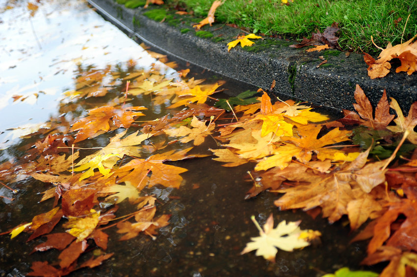 Since the Washginton Adopt-A-Storm-Drain program launched in 2021, over 38,000 pounds of debris have been collected from across 3,224 storm drains.