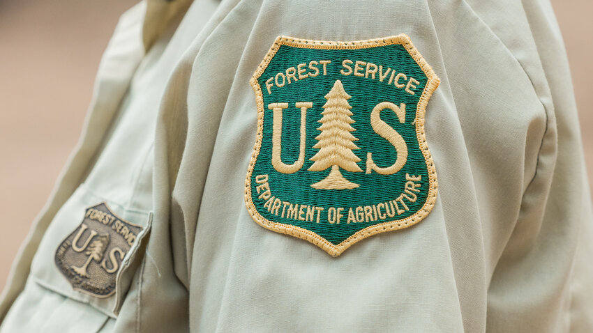 U.S. Forest Service officials attend a timber sale tour in the Gifford Pinchot National Forest on Thursday, Aug. 10, 2023.