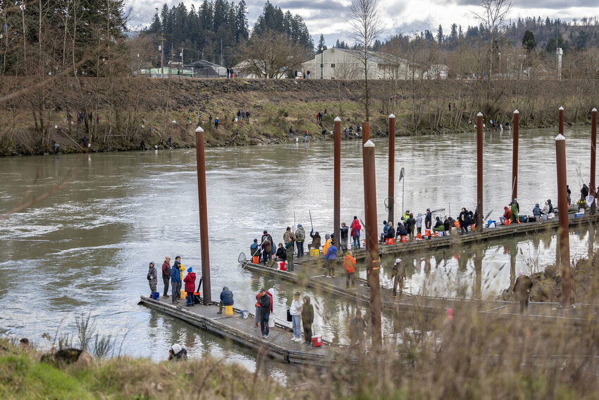 Anglers from around the state gather on a dock in the designated area on the Cowlitz River in Castle Rock on Tuesday, March 5, 2024.